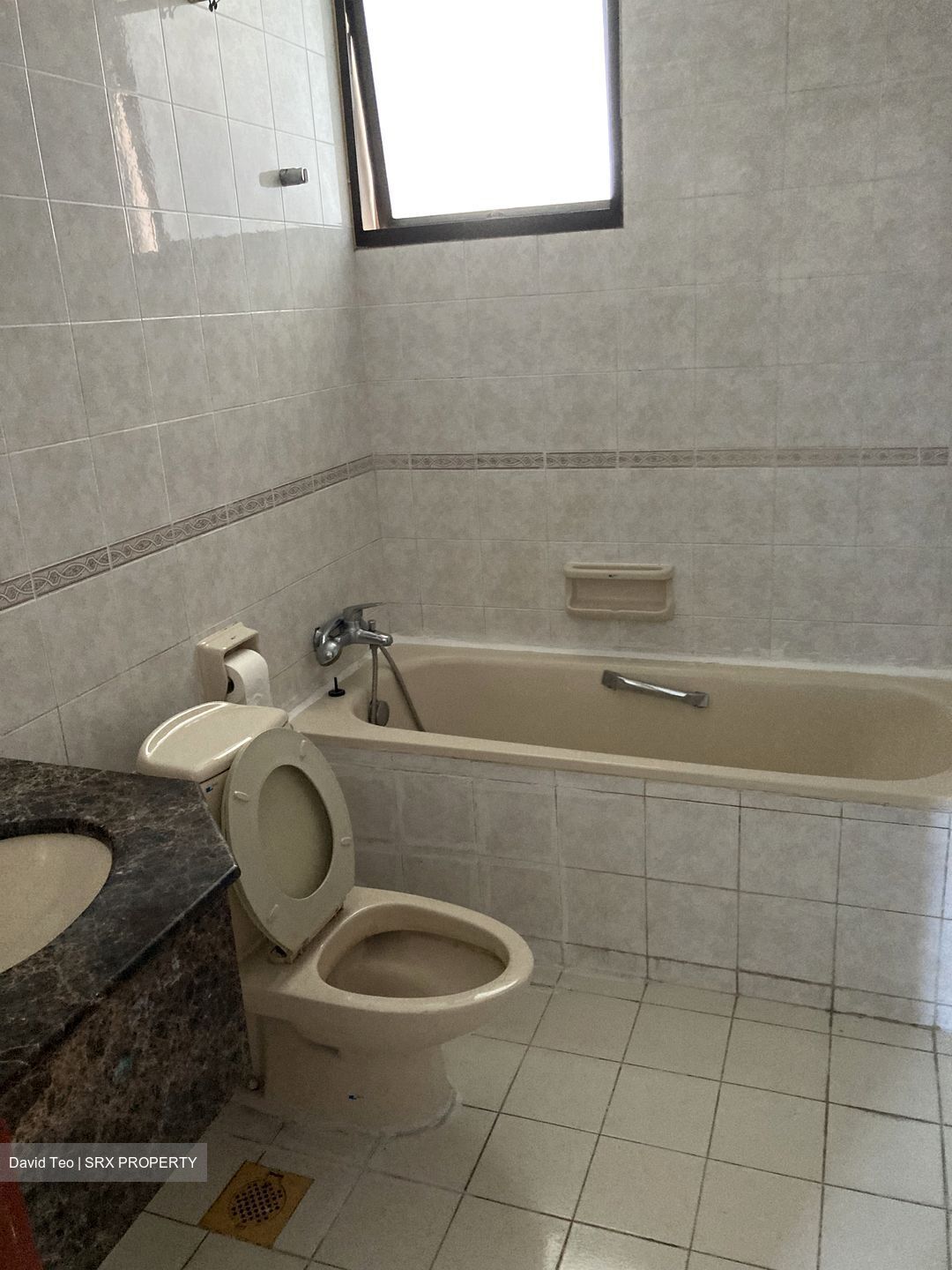 Parc Oasis (D22), Condominium #561124911